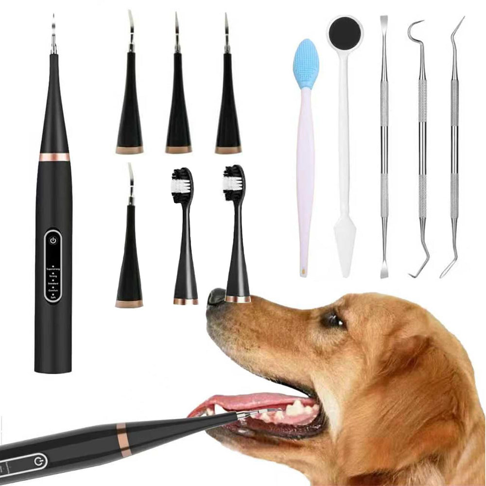 Yienshoo dog electric toothbrush kit main image for at-home pet dental care.