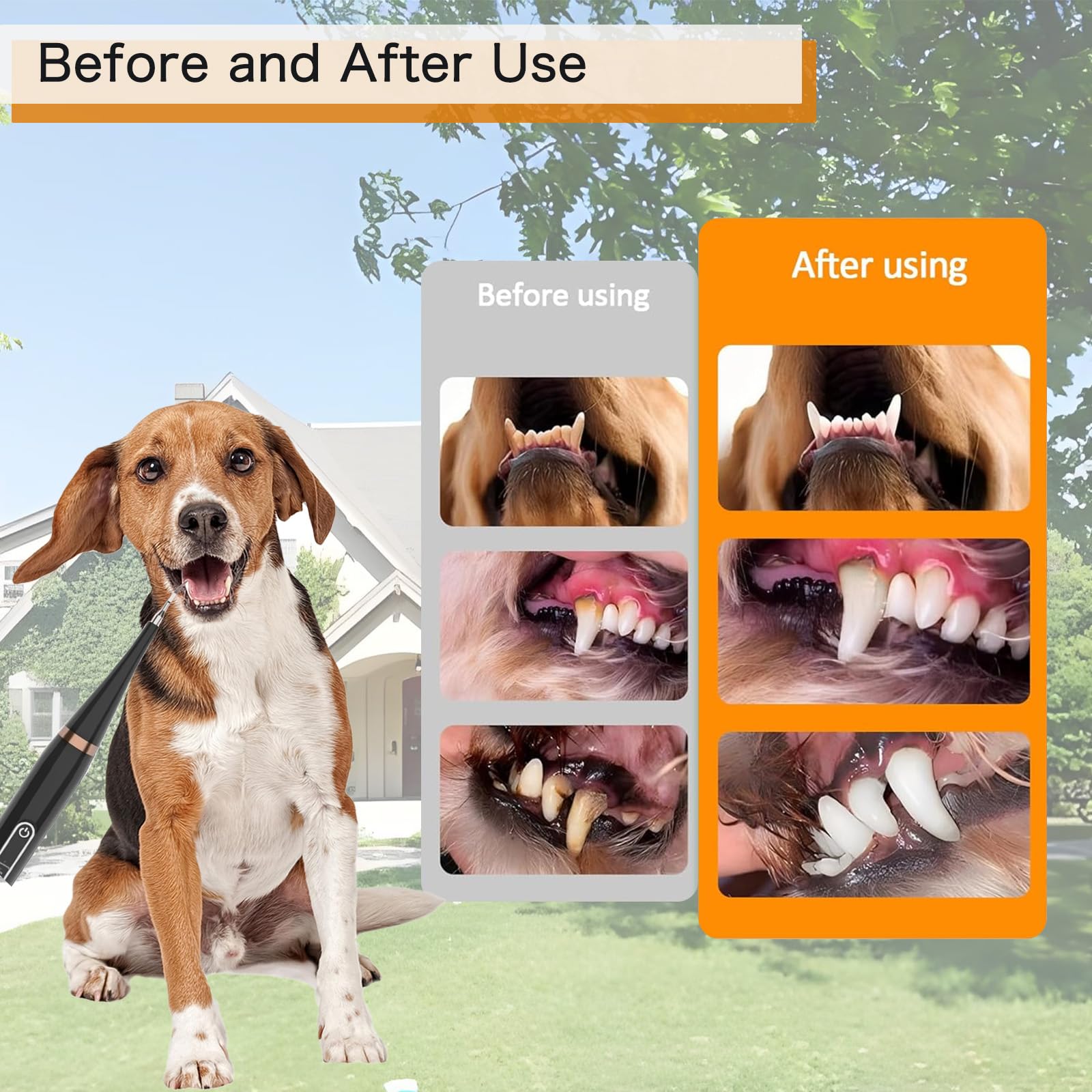 Yienshoo dog electric toothbrush kit usb charging for convenient power.