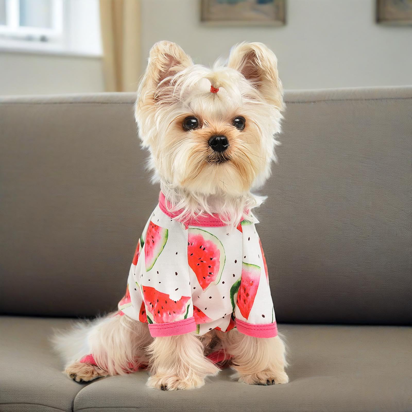 Yikeyo watermelon-pattern dog outfit worn indoors for cozy lounging