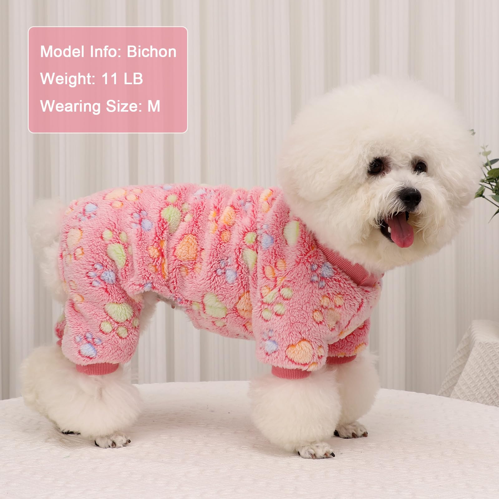 Yikeyo full-coverage design keeps the puppy cozy during cold-day outings