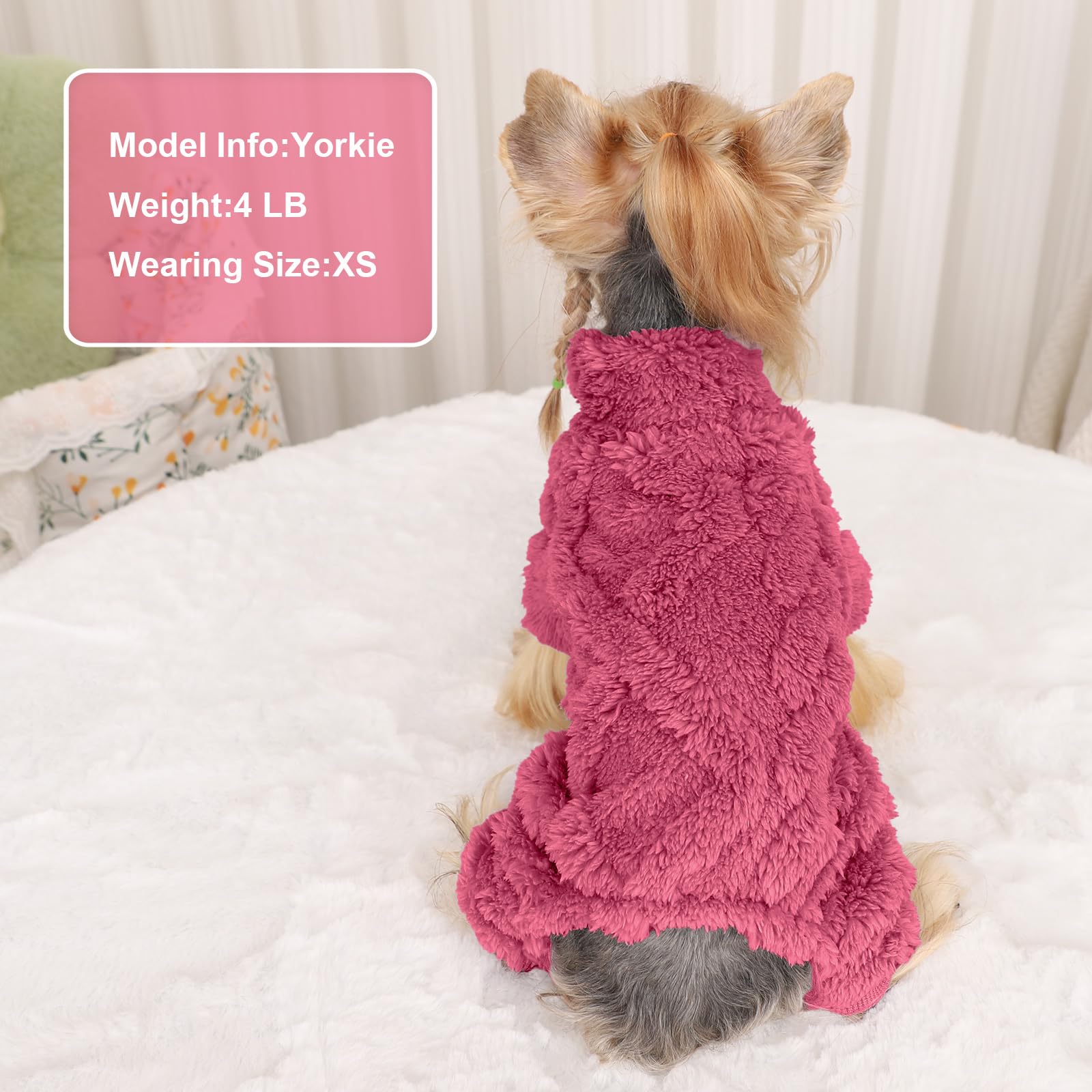 Yikeyo pet outfit for photoshoots helps create cute, coordinated looks