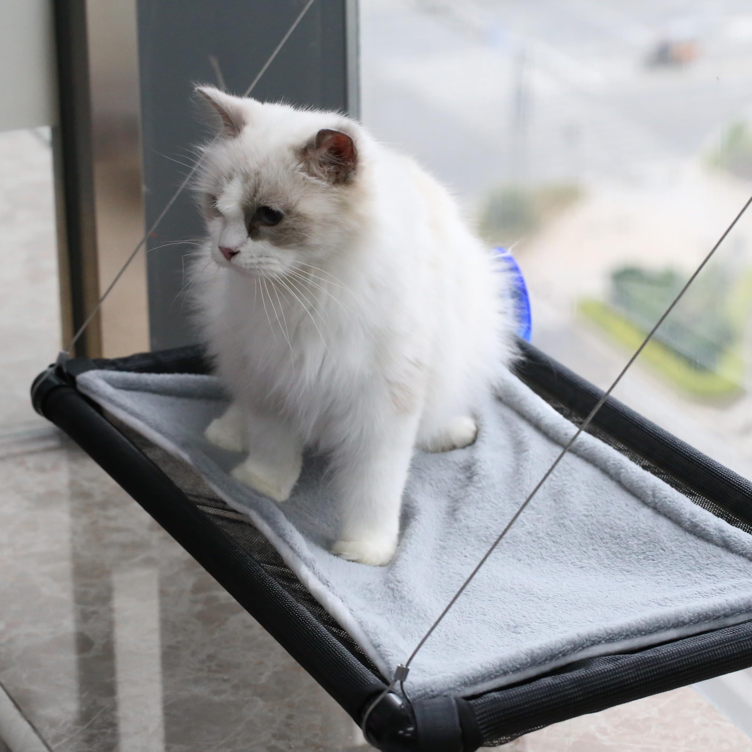 YILAG cat hammock window-sunny-spot perch for daytime lounging.