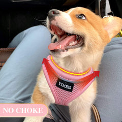 YIMEIS pink 5ft leash with reflective features for night safety.