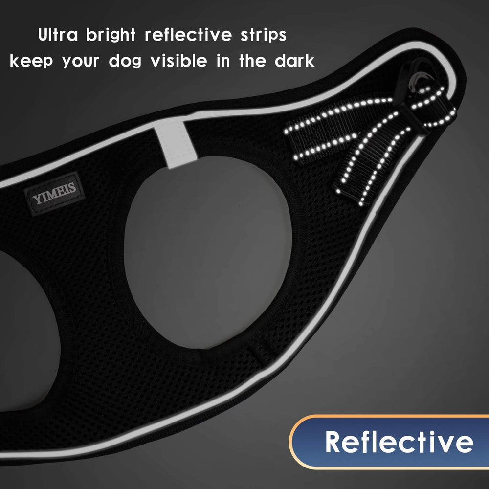 YIMEIS pack 1 harness-leash set ideal for family pets and travel.