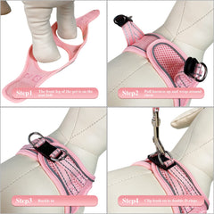 YIMEIS step-in harness featuring Velcro and double D-rings.