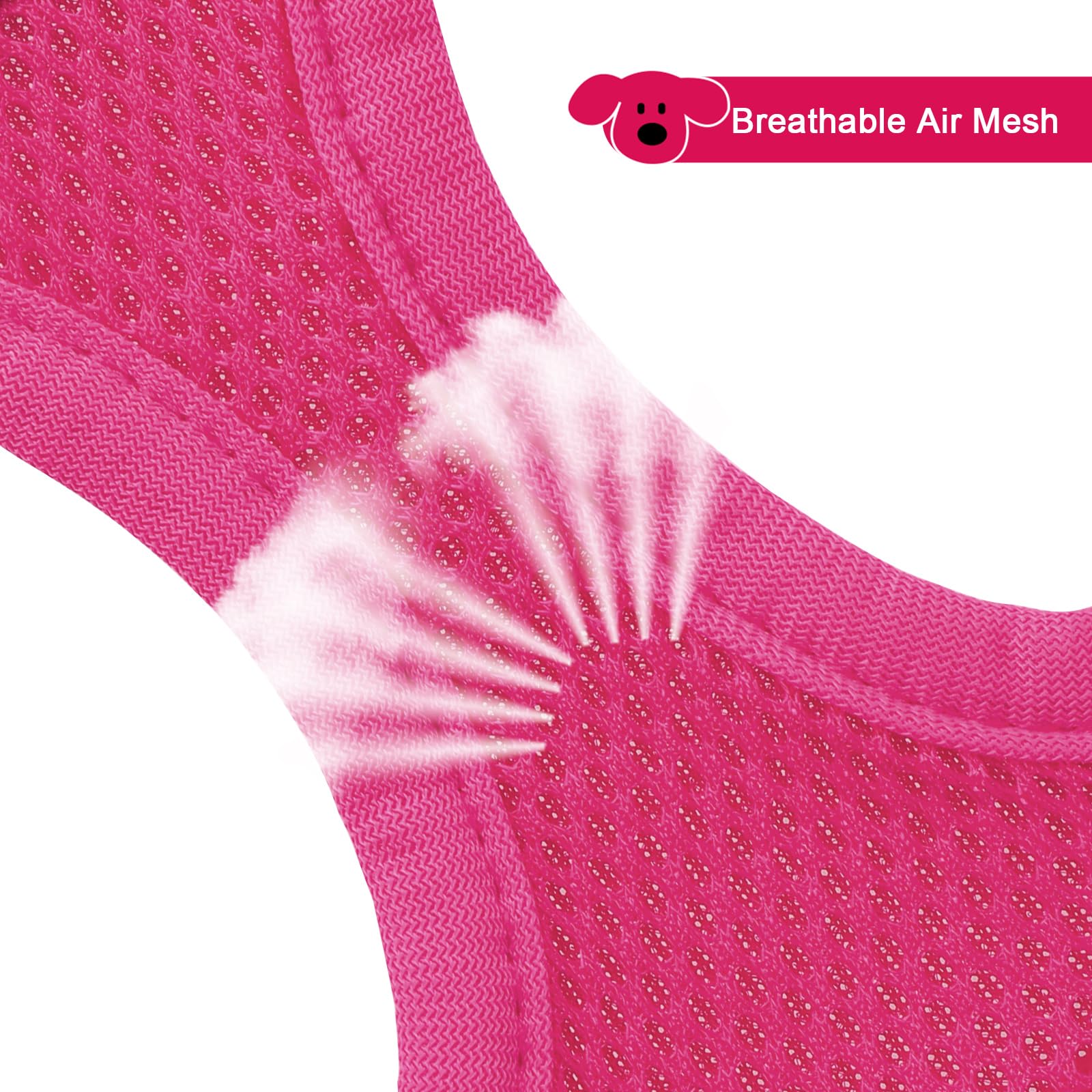 YIMEIS triple-security closure keeps harness securely fastened.