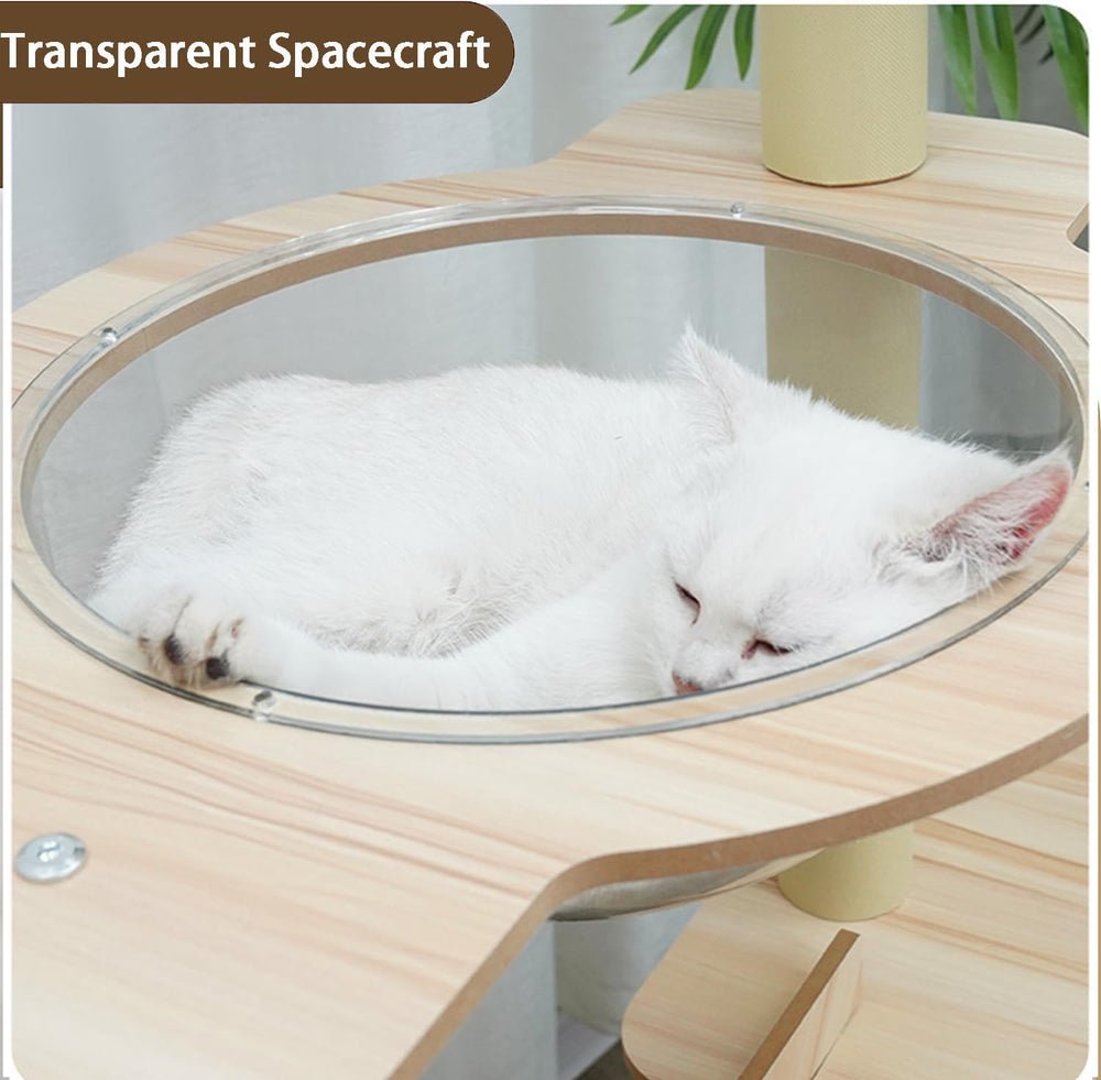 Yinanroa jumping-ball toy adds interactive entertainment during play sessions.