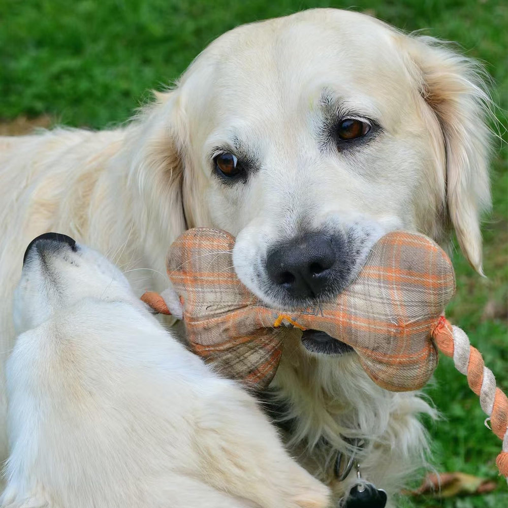 YINCL DIY toy revival with squeaker for fresh canine fun.