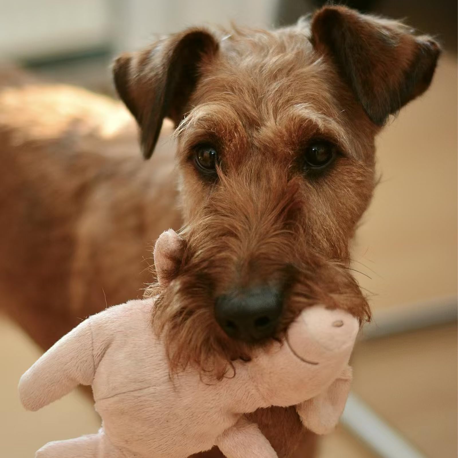 YINCL squeaker insert repair demonstrates easy replacement for revived plush toys.