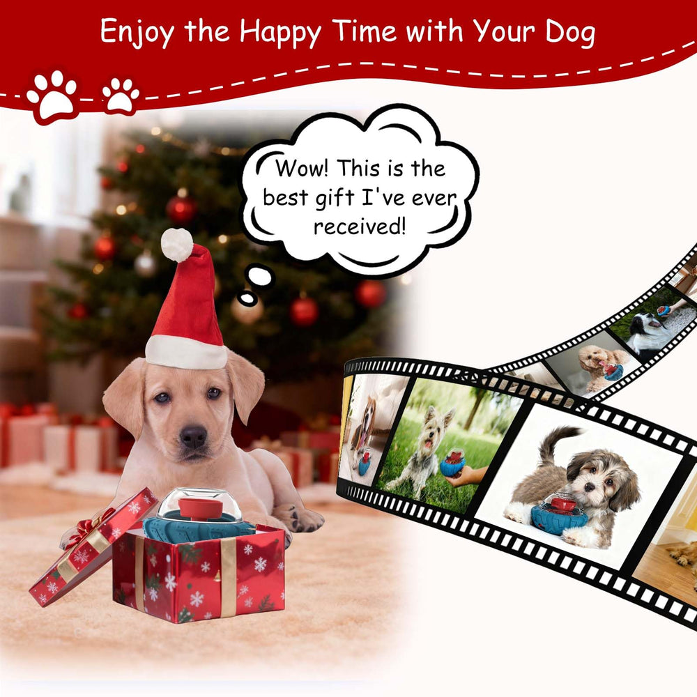 YINEYA dog toy dishwasher-safe top-rack for quick cleanup.