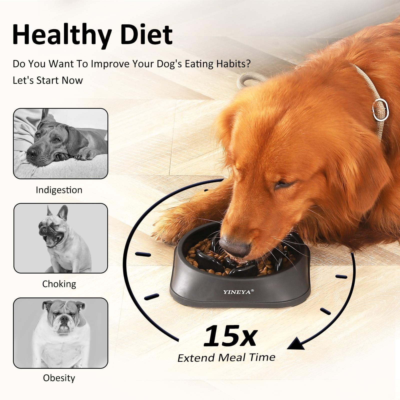 YINEYA durable PP material dog bowl resists damage for long-lasting use.