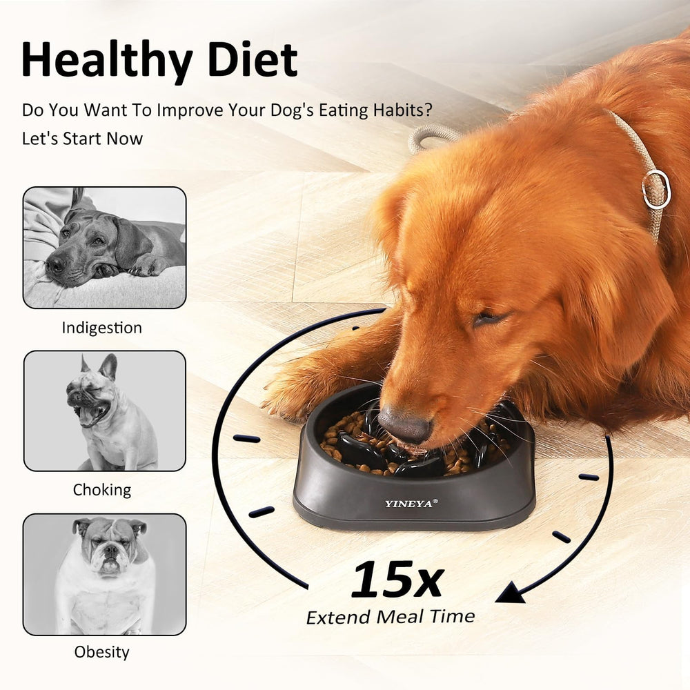 YINEYA durable PP material dog bowl resists damage for long-lasting use.