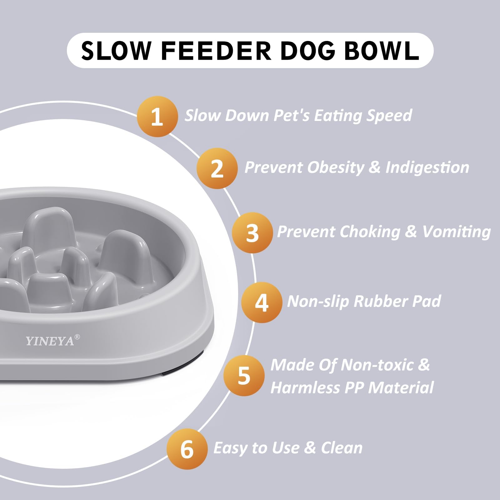 YINEYA raised slow-feeder dog bowl for small breeds supporting comfortable, mess-free meals.