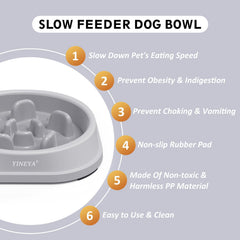 YINEYA raised slow-feeder dog bowl for small breeds supporting comfortable, mess-free meals.