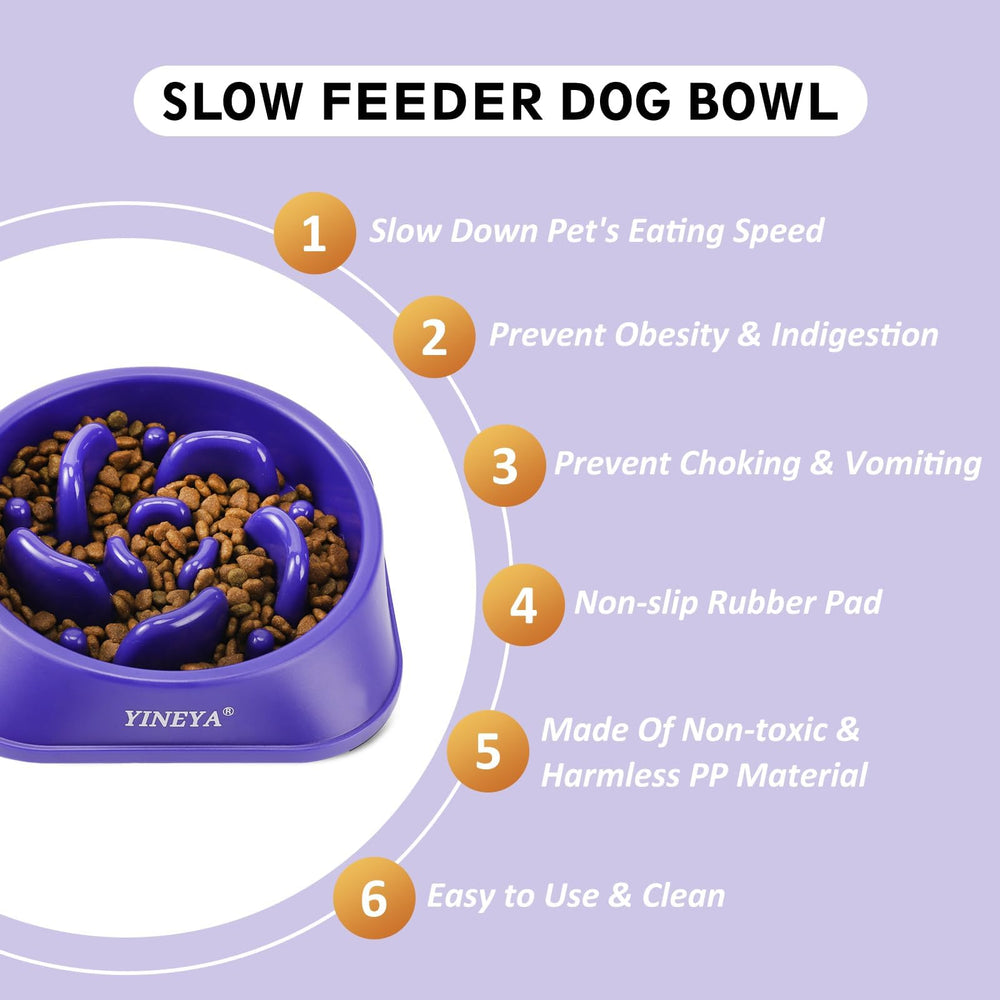 YINEYA safety-raised bowl keeps lips and whiskers comfortable during feeding.