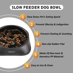YINEYA slow-feeder dog bowl raised design supports ergonomic feeding and comfort.