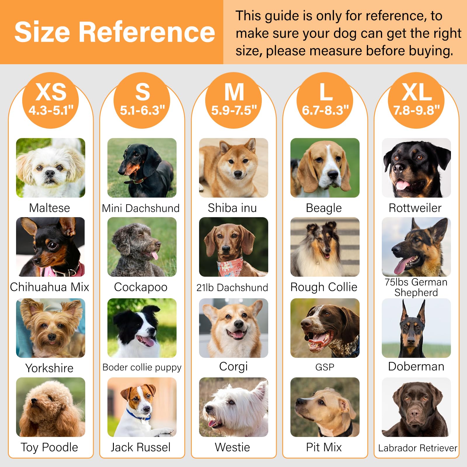 Yingphia curved-nose-fit muzzle accommodates different noses without rubbing.