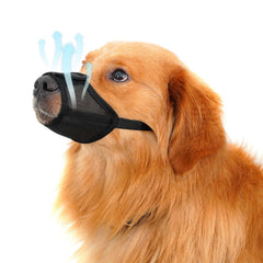 Yingphia dog muzzle with ultra-breathable mesh for comfortable wear.