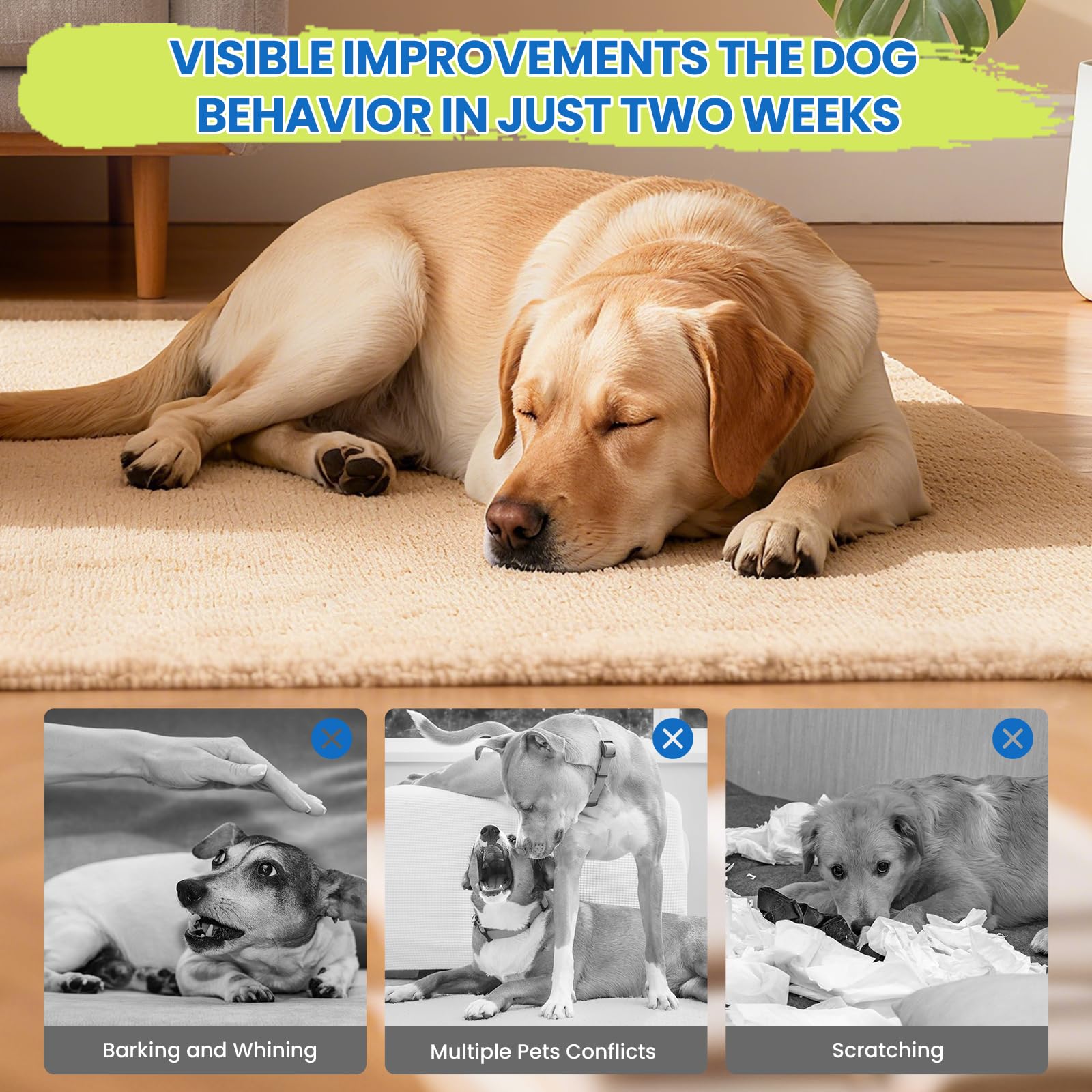 Yingsu diffuser in-use illustrates continuous pet friendly pheromones for stress relief