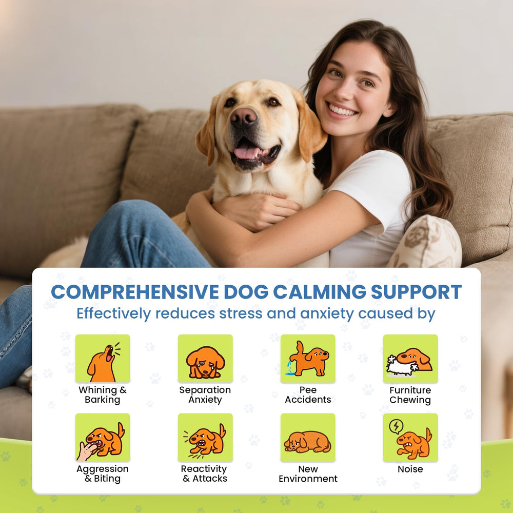 Yingsu dog calming diffuser vent-position demonstrates diffuse scent across space for relaxed pets