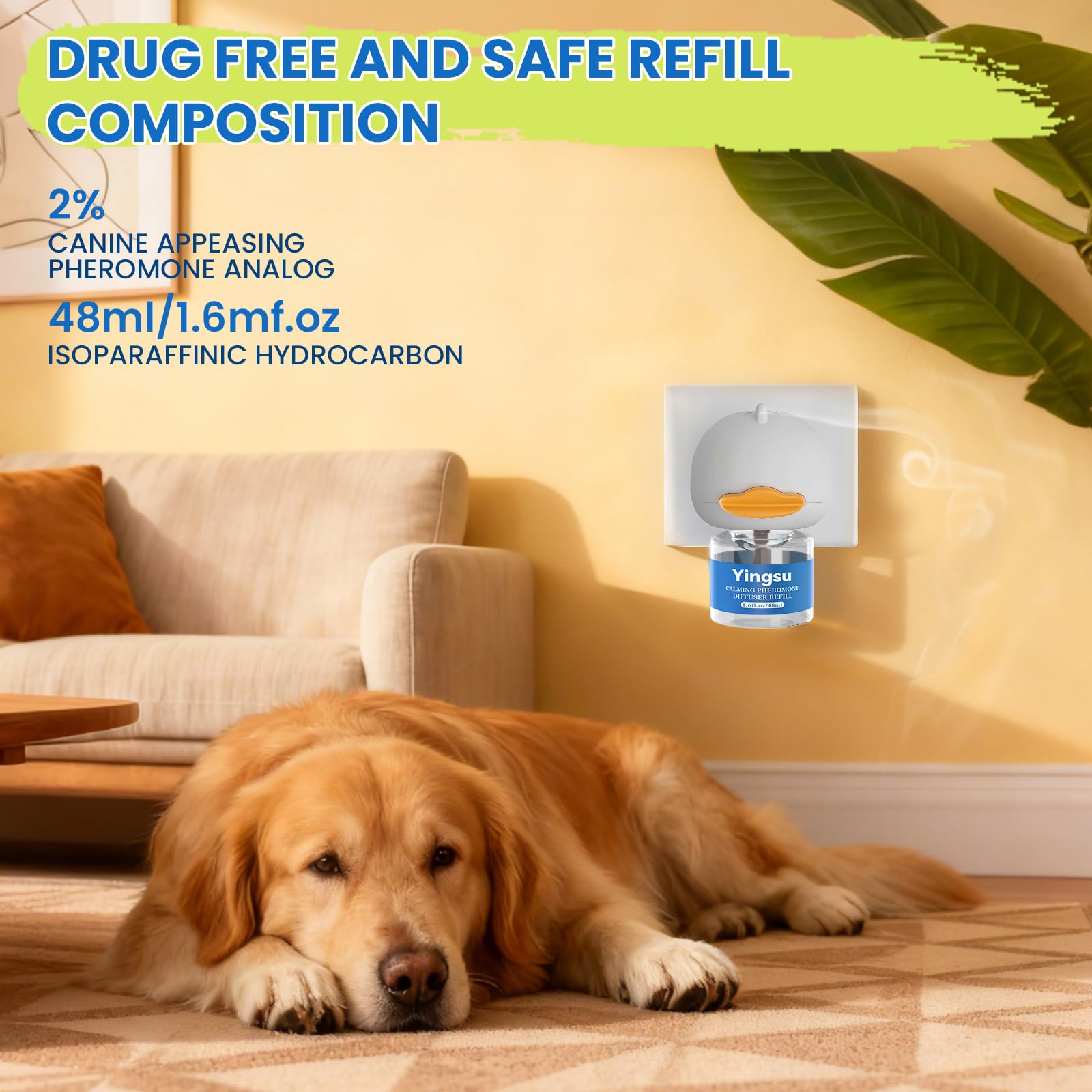 Yingsu dog relaxing scene depicts peaceful home environment during anxious moments