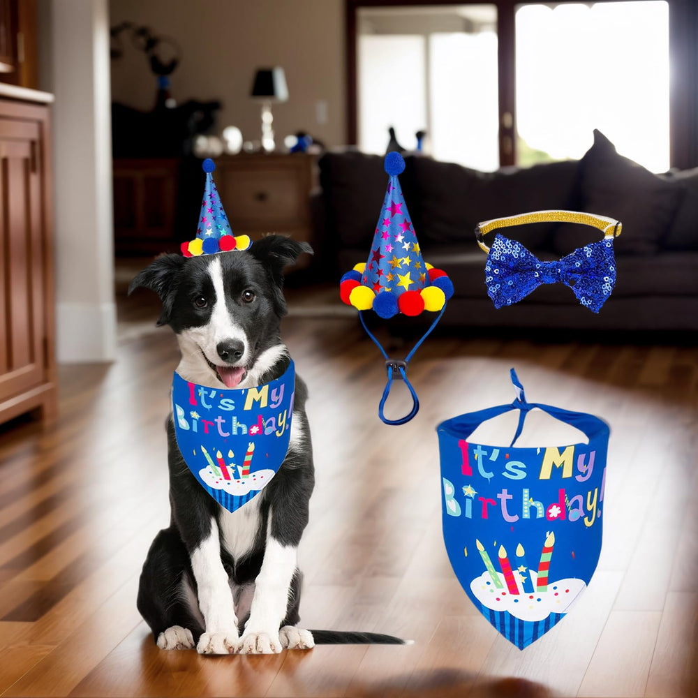 YINWANBB cat-friendly birthday hat option for multi-pet celebrations