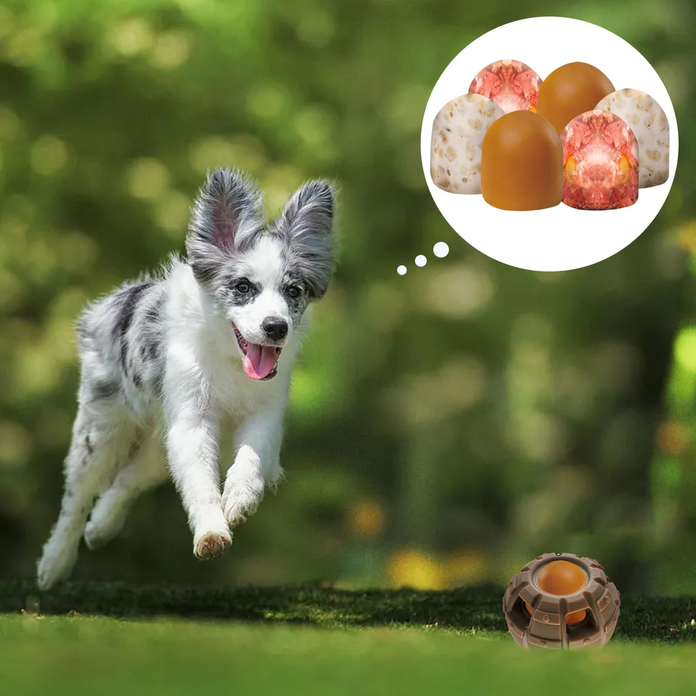 Yipetor treat-dispensing dog toy versatile puzzle toy for interactive play.