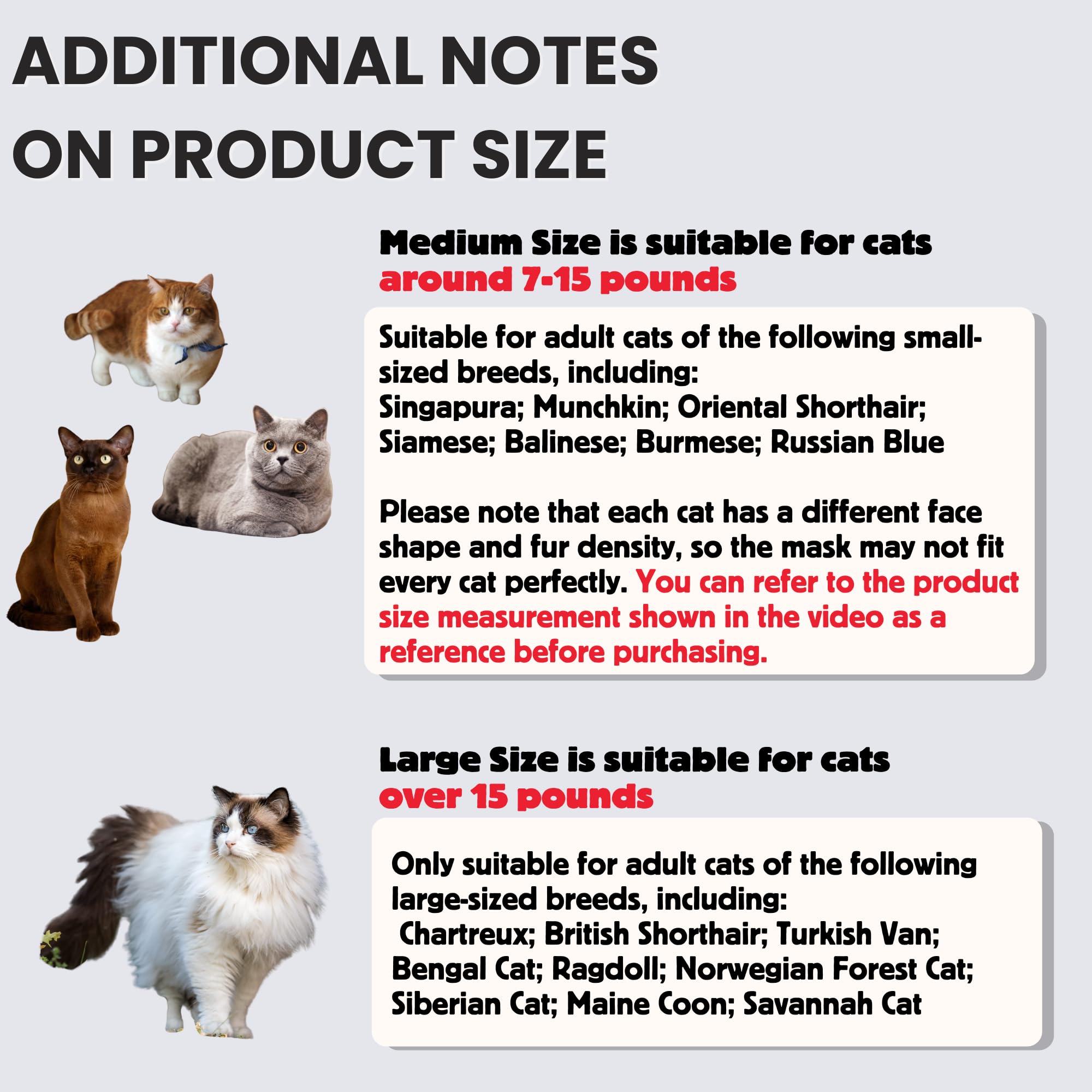 Yipintang cat-photos-share invites adorable moments for social posts and memories.