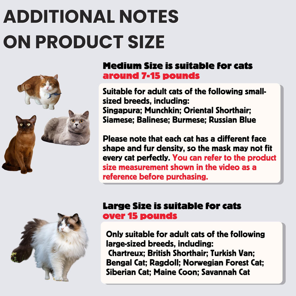 Yipintang cat-photos-share invites adorable moments for social posts and memories.