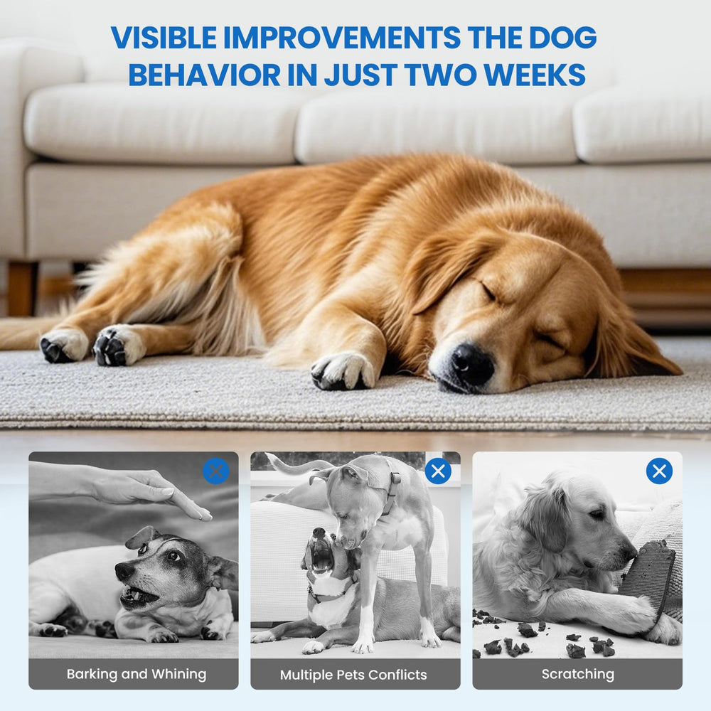 Yirr dog calming diffuser indoor use supports quieter routines during daily activities.