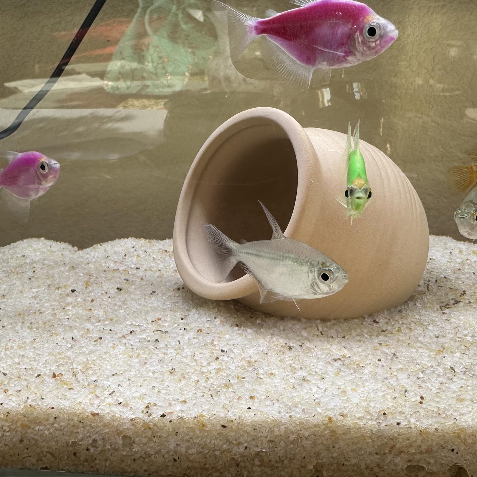 YISZM Aquarium Sand beige tank-setup demonstrates stable substrate for thriving plant life.