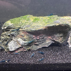 YISZM Aquarium Sand texture close-up reveals fine grains for natural layouts.