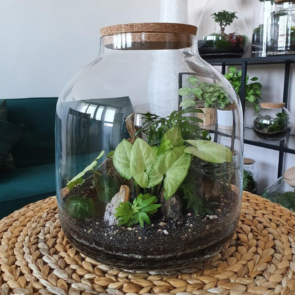YISZM Aquarium Sand water clarity and maintenance visualizes quick settling.