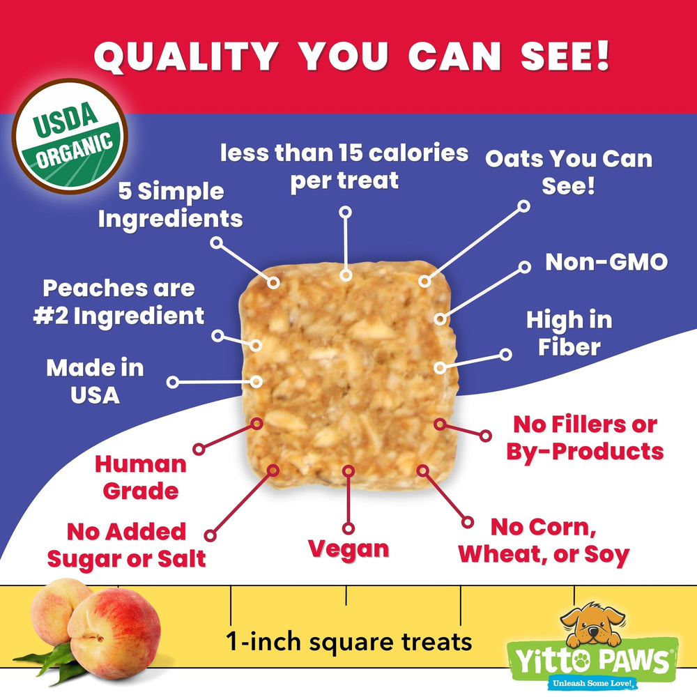 Yitto Paws dog enjoying treat demonstrates real-life reward moment.