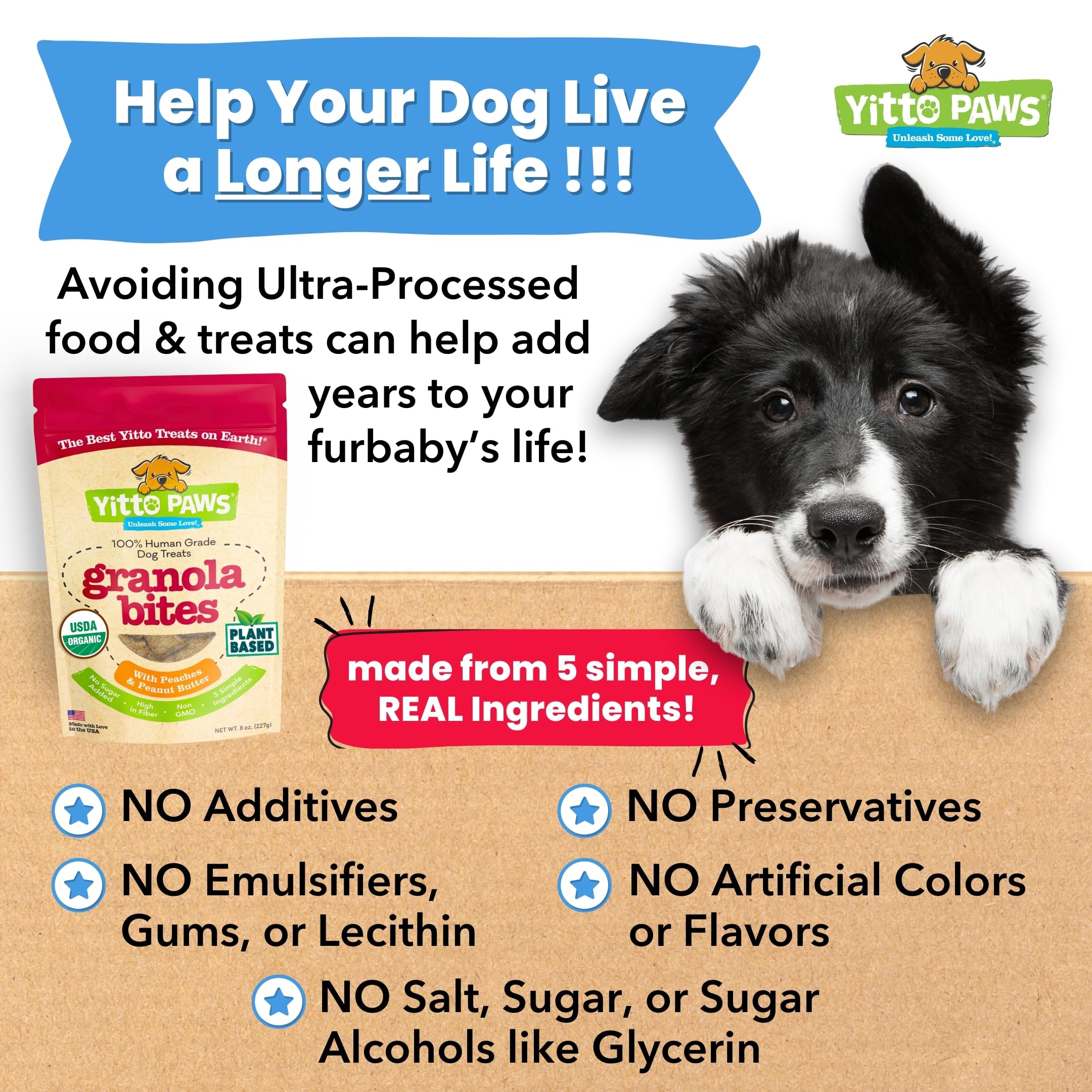 Yitto Paws made-in-USA seal communicates domestic production and ethical sourcing.