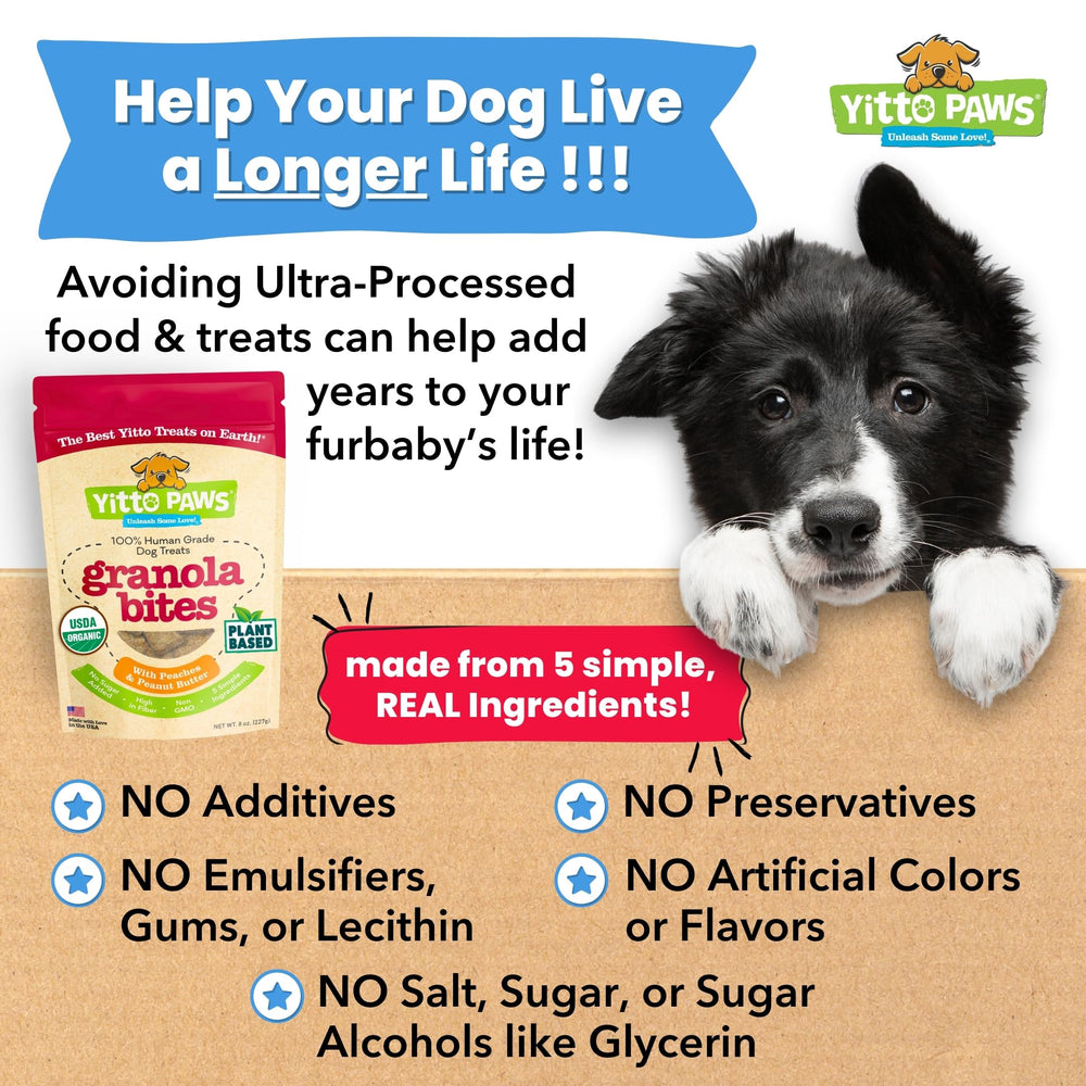 Yitto Paws made-in-USA seal communicates domestic production and ethical sourcing.