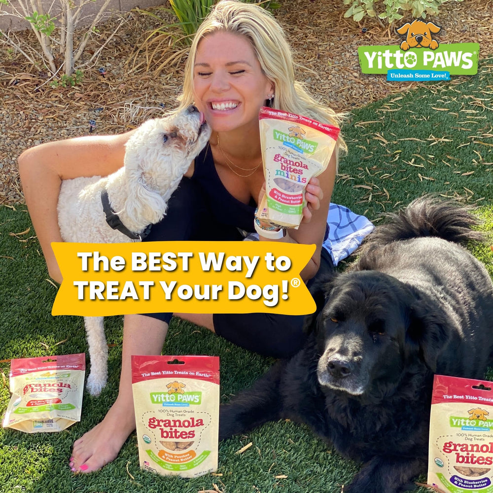 Yitto Paws peanut-butter-closeup shows flavor and crunch ideal for training rewards.