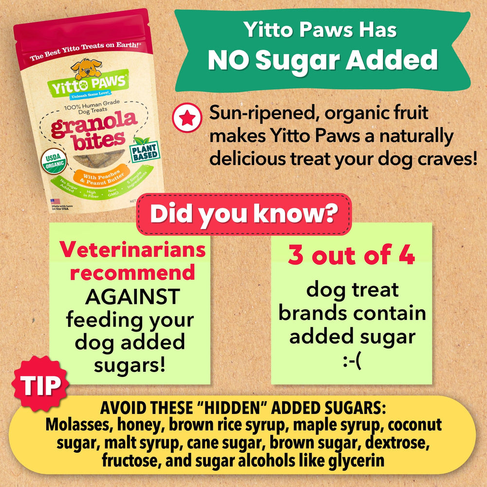 Yitto Paws training-reward dog image captures bite-size crunch for positive reinforcement.