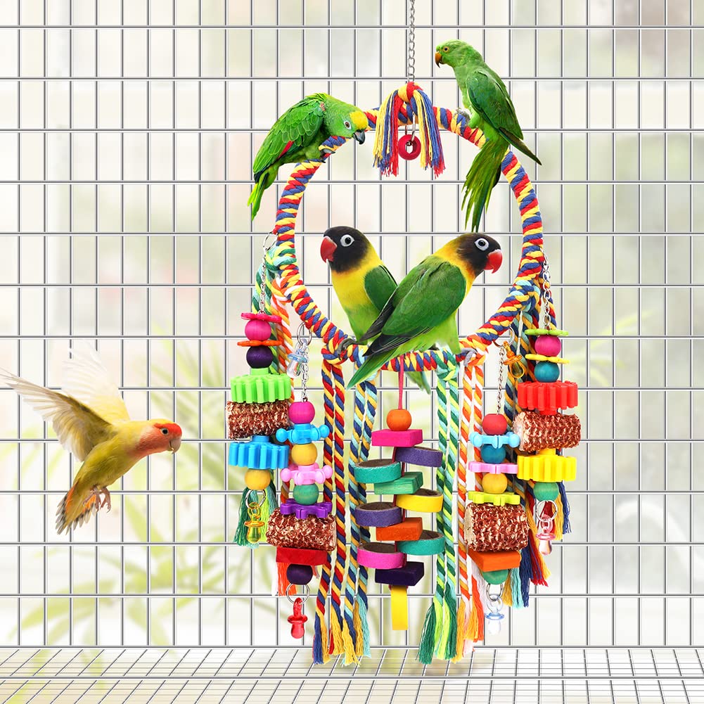 YIXUND cardboard bagels offer nibbling surfaces and mental stimulation