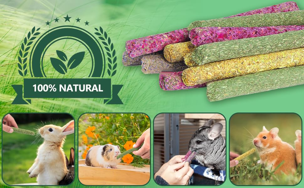 YIXUND calendula chew sticks with edible flowers support fiber-rich snacking and calm exploration