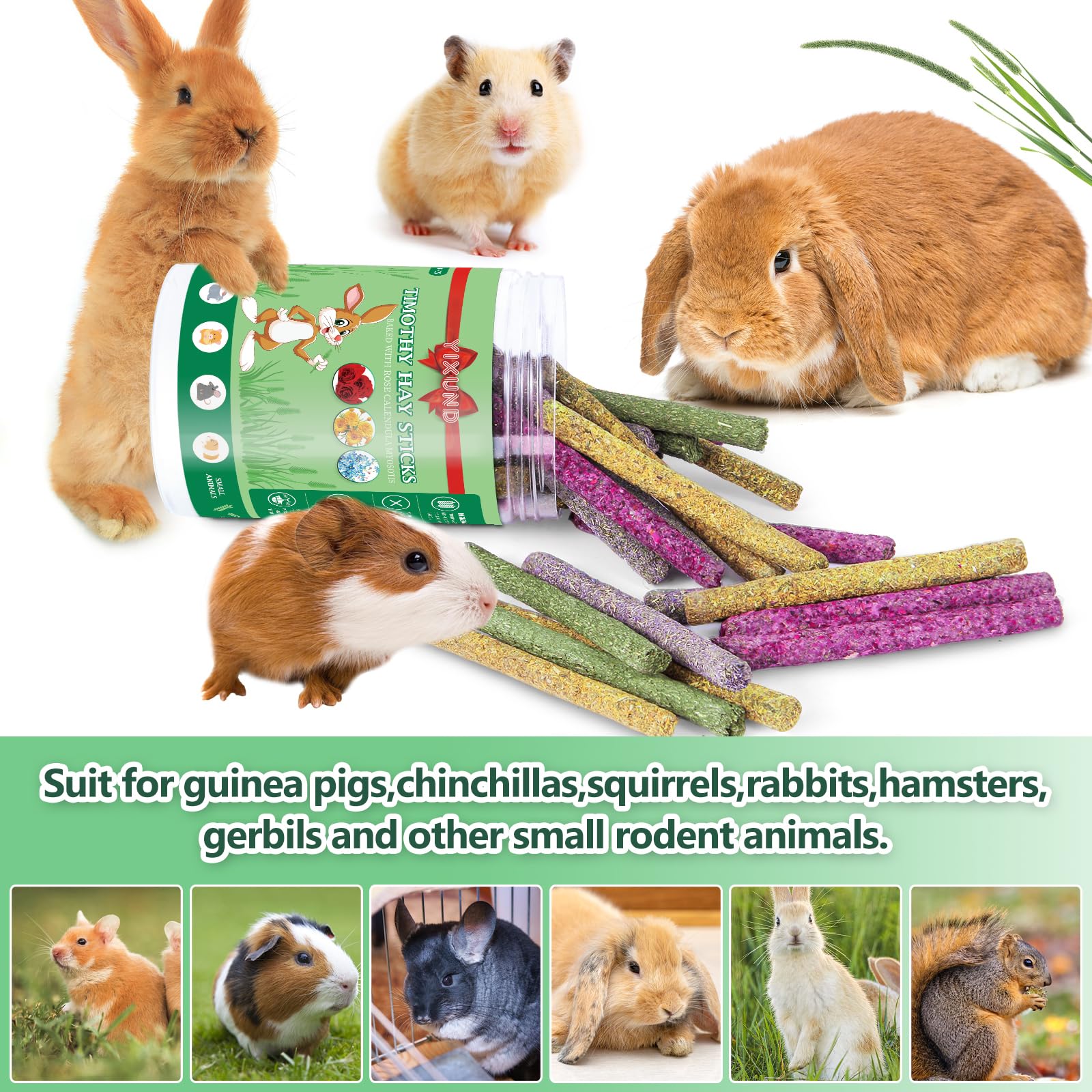YIXUND rodents chewing scene shows natural design engaging small pets