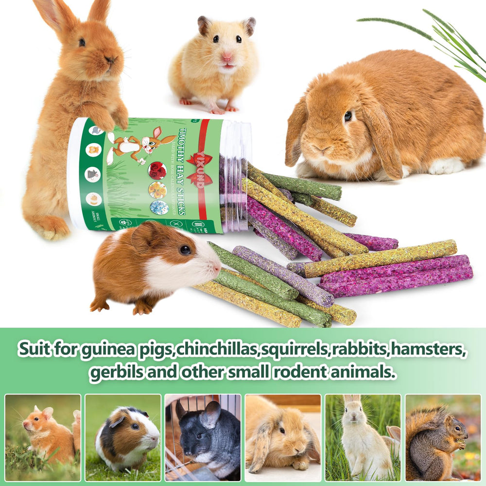 YIXUND rodents chewing scene shows natural design engaging small pets