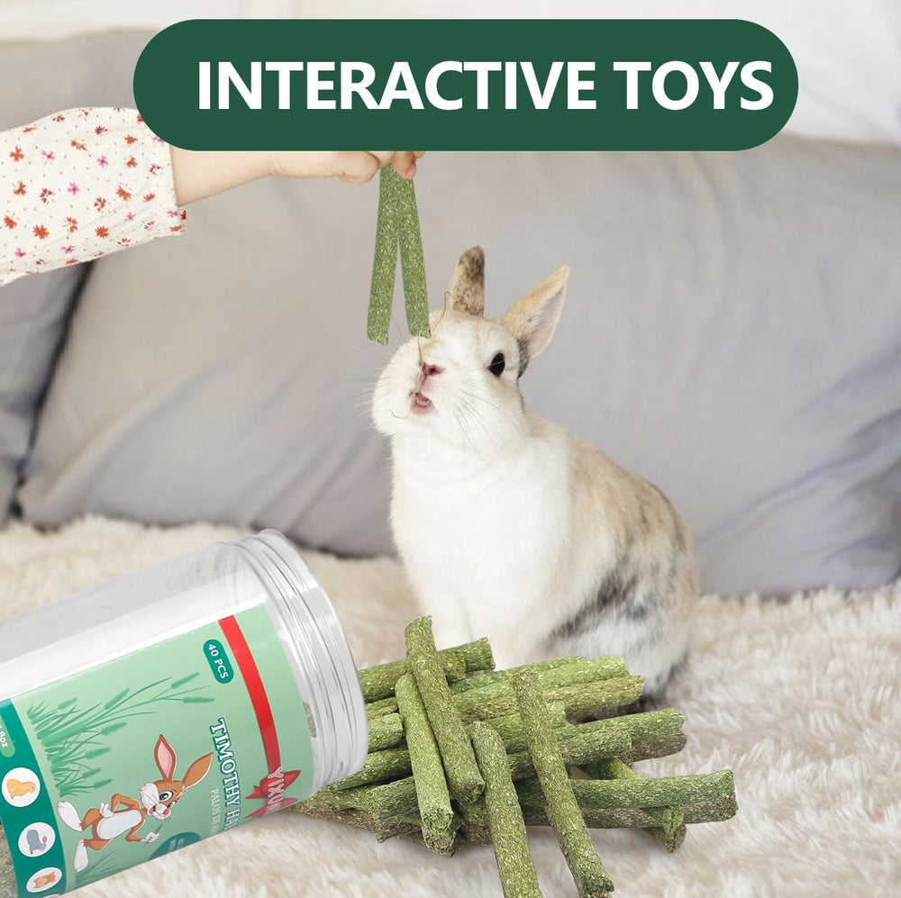 YIXUND Timothy Hay Sticks hand-feeding scene – encourages interactive bonding with your small pet.