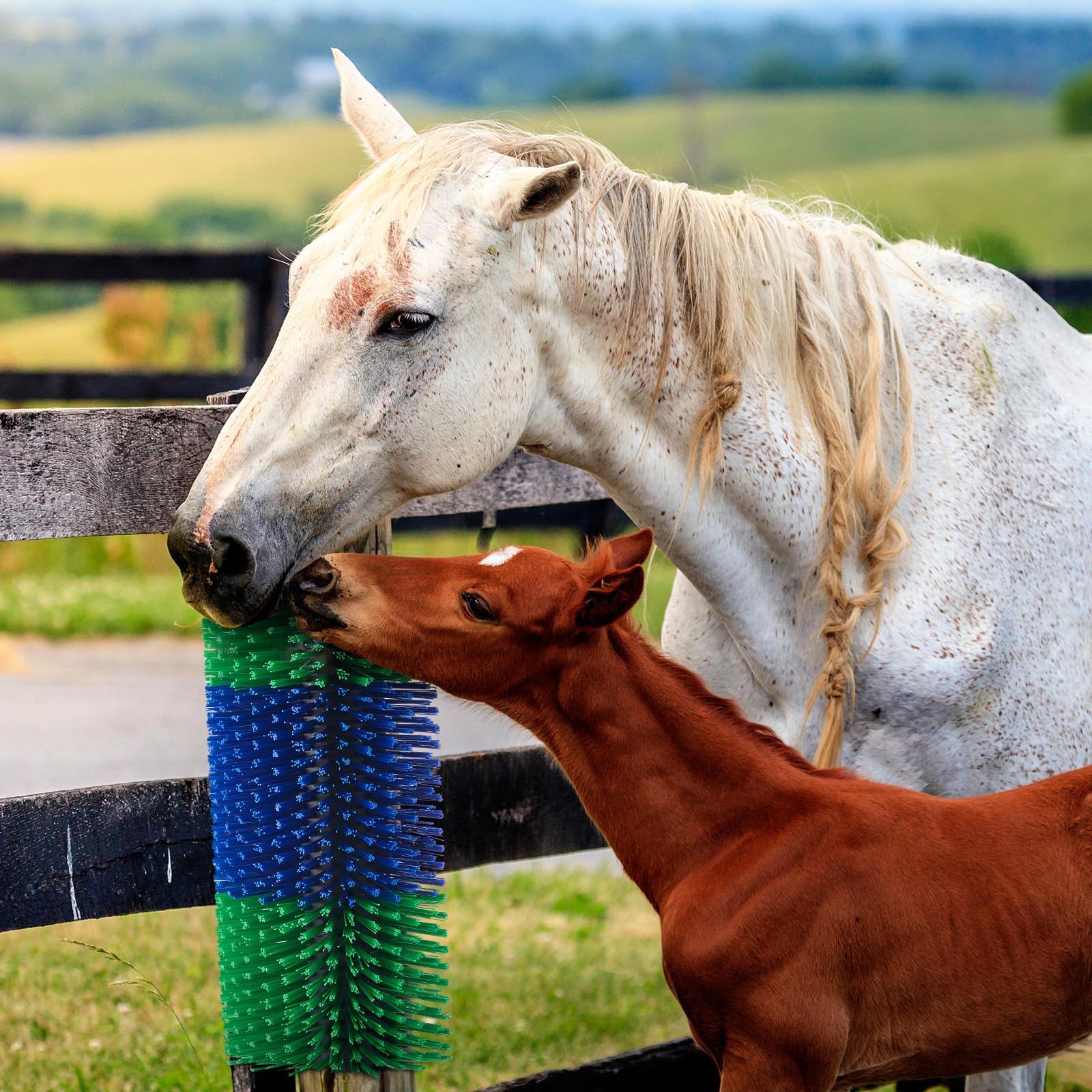 Yiyiring farm scene with brush on fence highlights practical livestock care