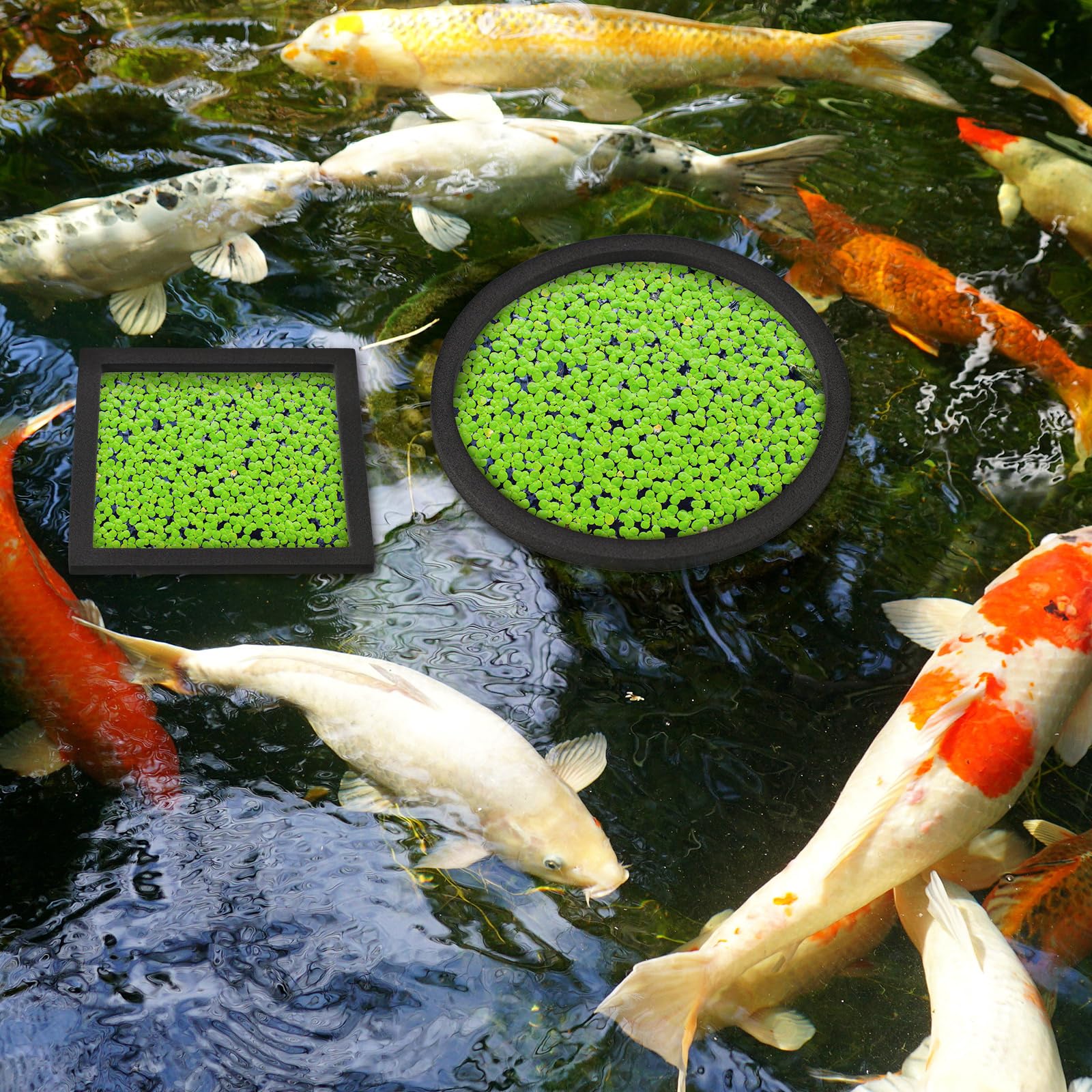 Yiyiring plant rings offered in five sizes to fit various aquatic plants.