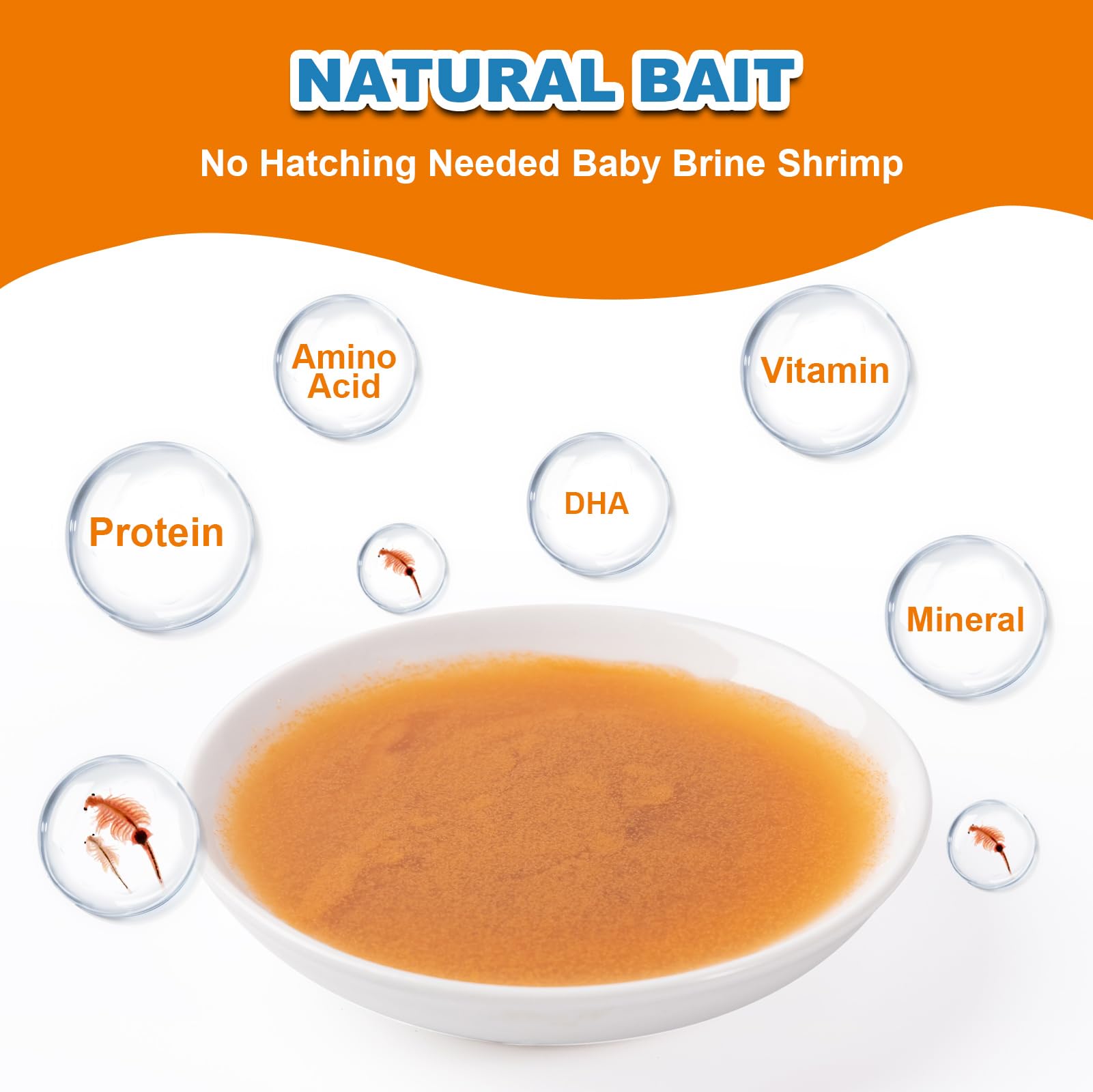 yizeril Instant Baby Brine Shrimp dropper demonstrates easy fry feeding.