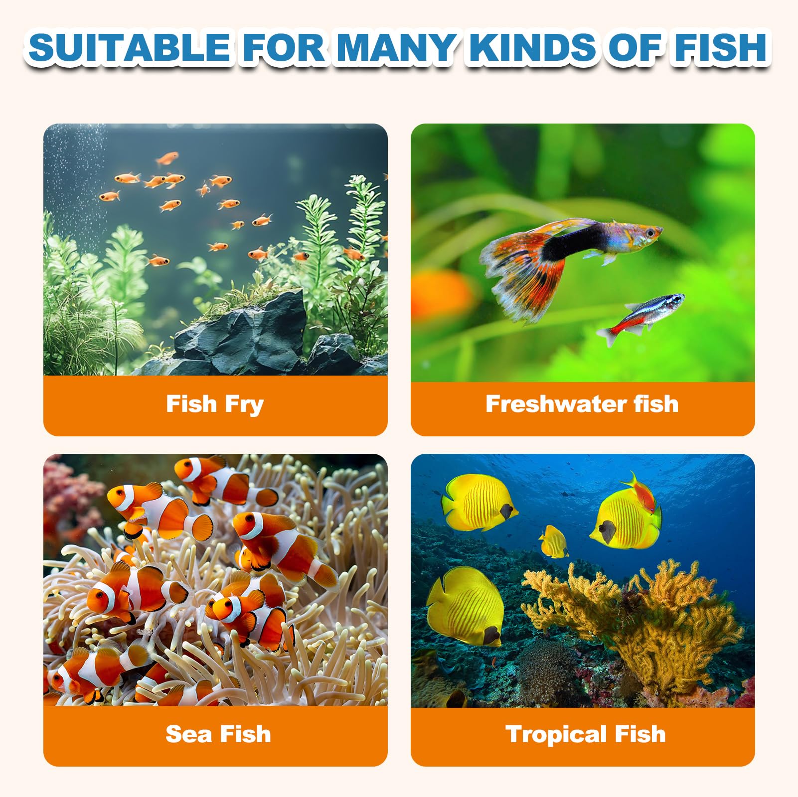 yizeril Instant Baby Brine Shrimp storage bottle kept at room temperature.