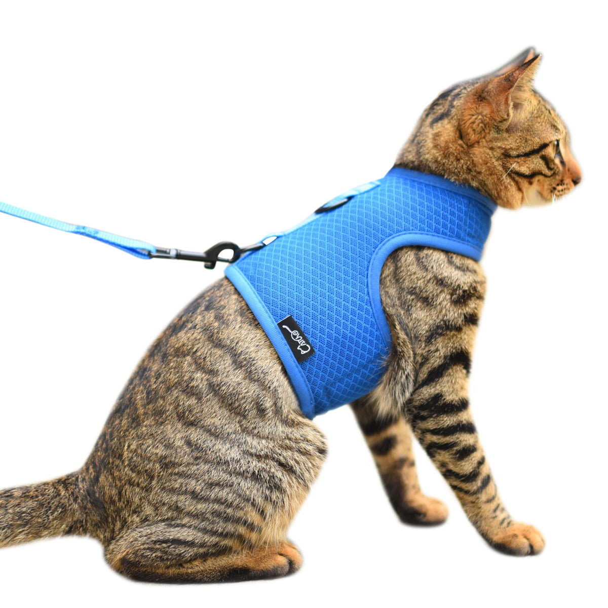 Arnés para gato azul ajustable YIZHI MIAOW, cómodo para paseos.