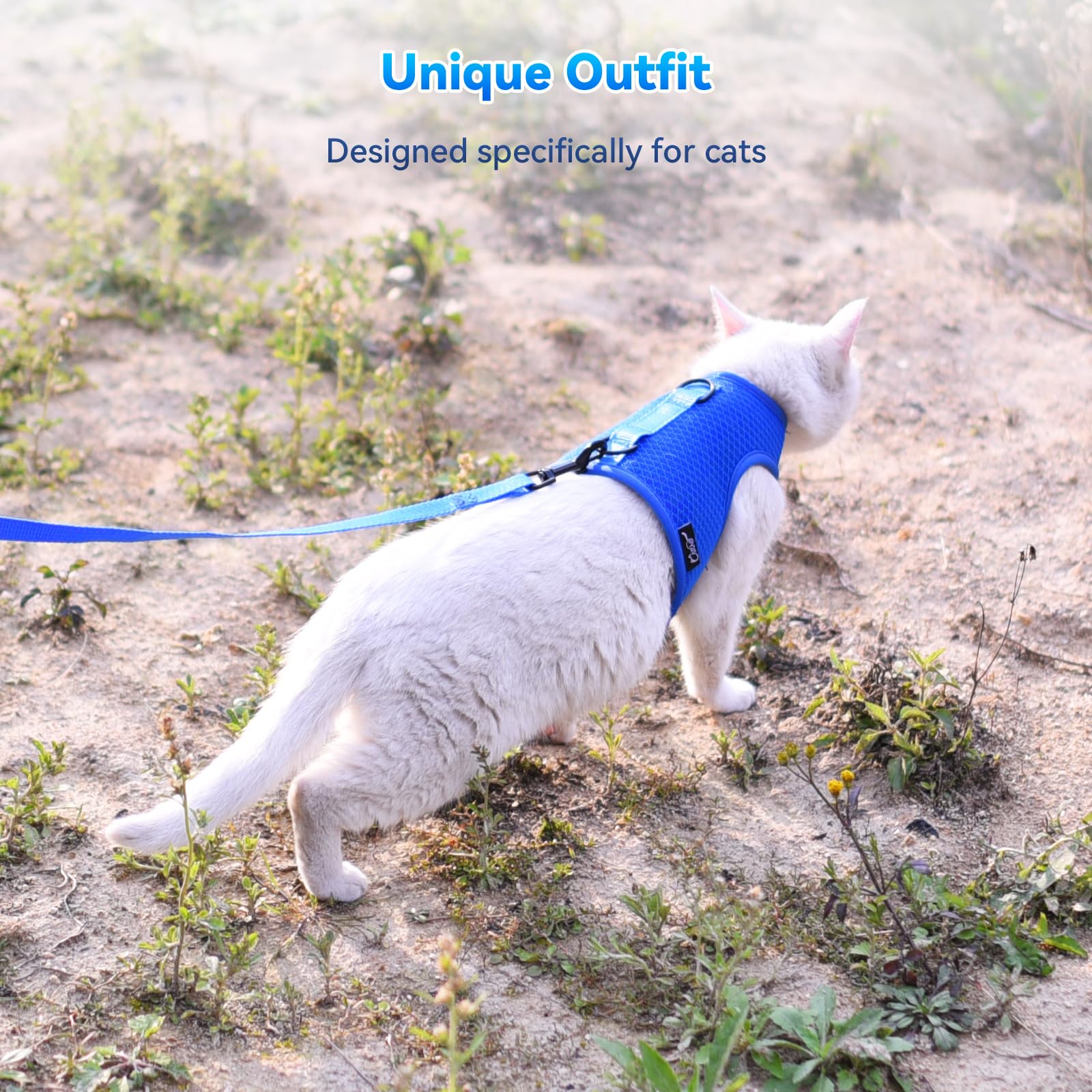 Uso exterior seguro con arnés YIZHI MIAOW para gatos.