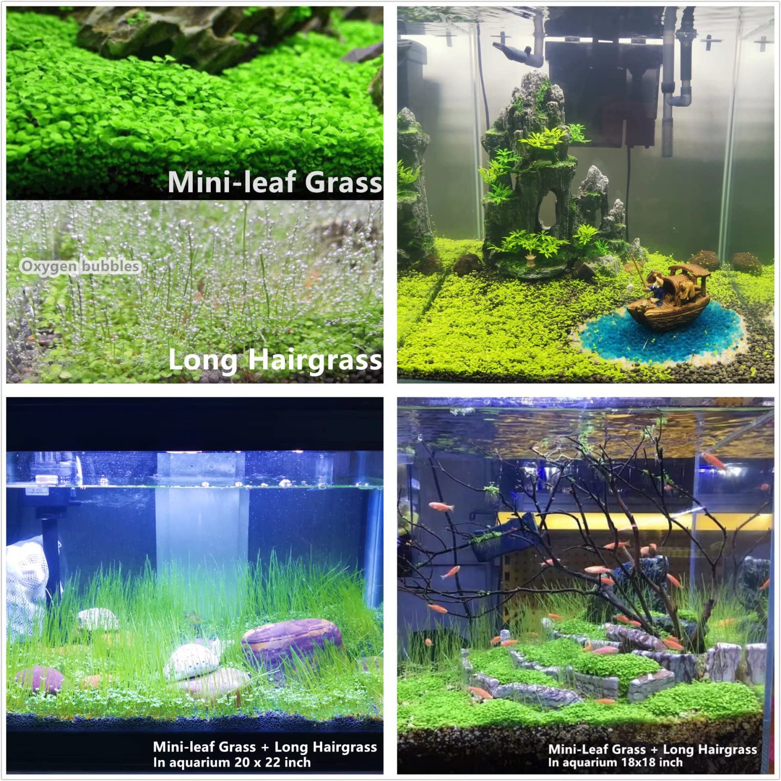 YIZIMONA freshwater aquarium plants setup image demonstrates easy-to-maintain decor